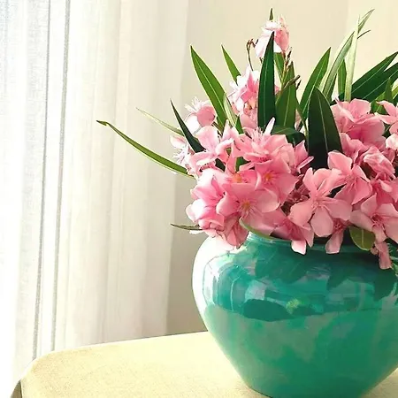 Mirta's Apartment, 5m From Sea Lejlighed Klek